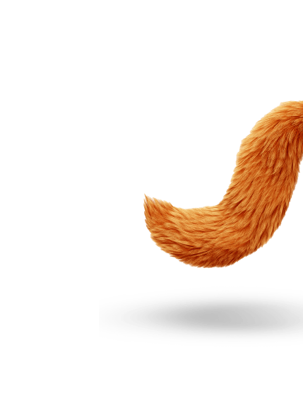 Foxes tail